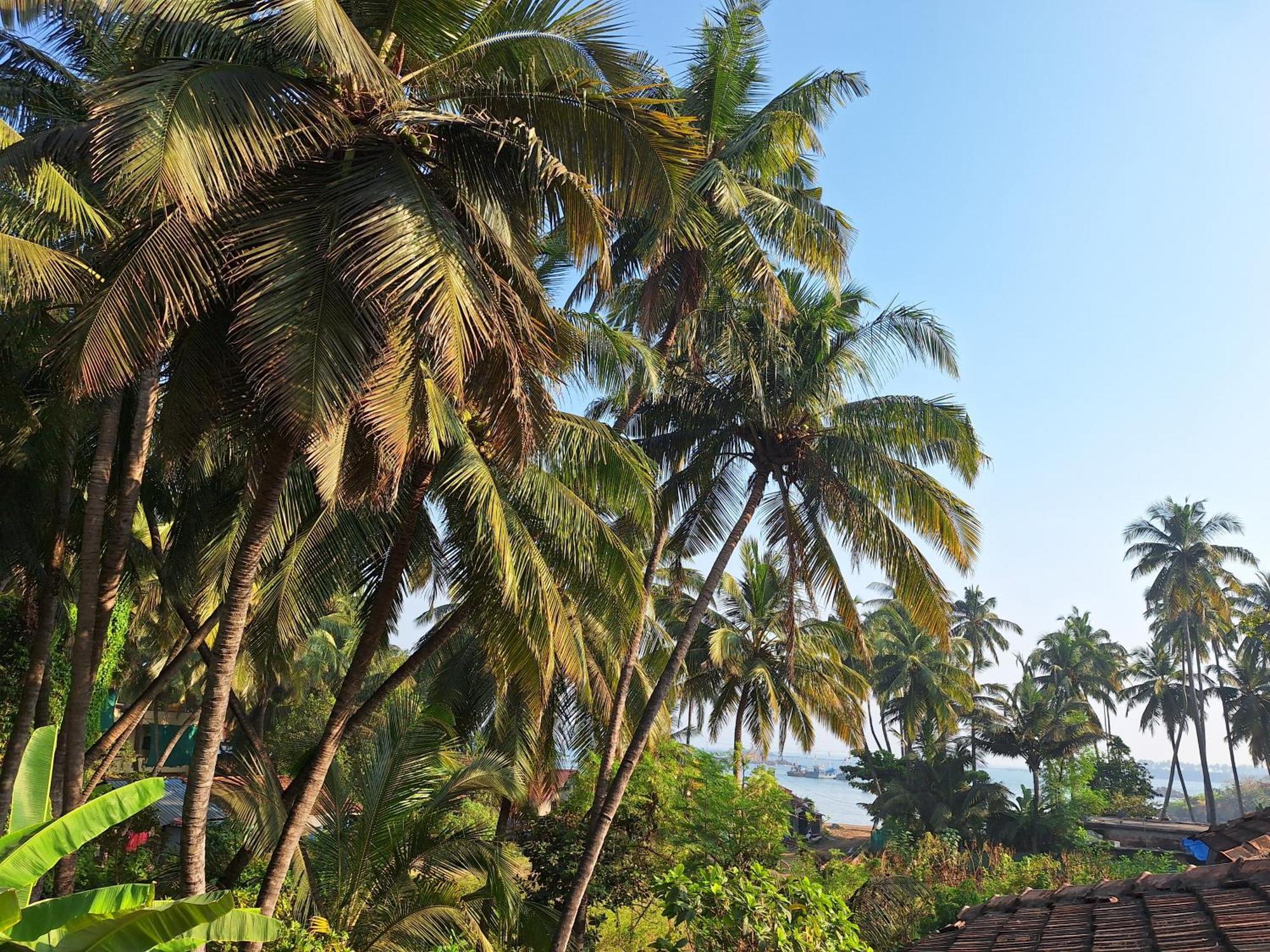 Anand Nivas Homestay Mālvan 외부 사진